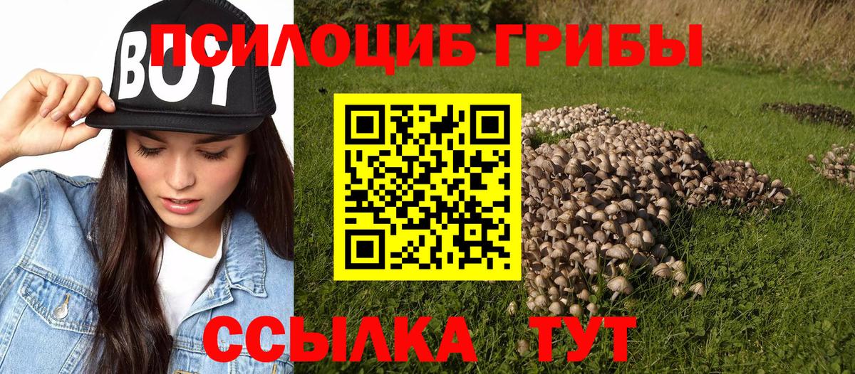 Псилоцибиновые грибы прущие грибы  Вход с VPN  Галлюциногенные грибы MAGIC MUSHROOMS  цены наркотик  Орехово-Зуево 