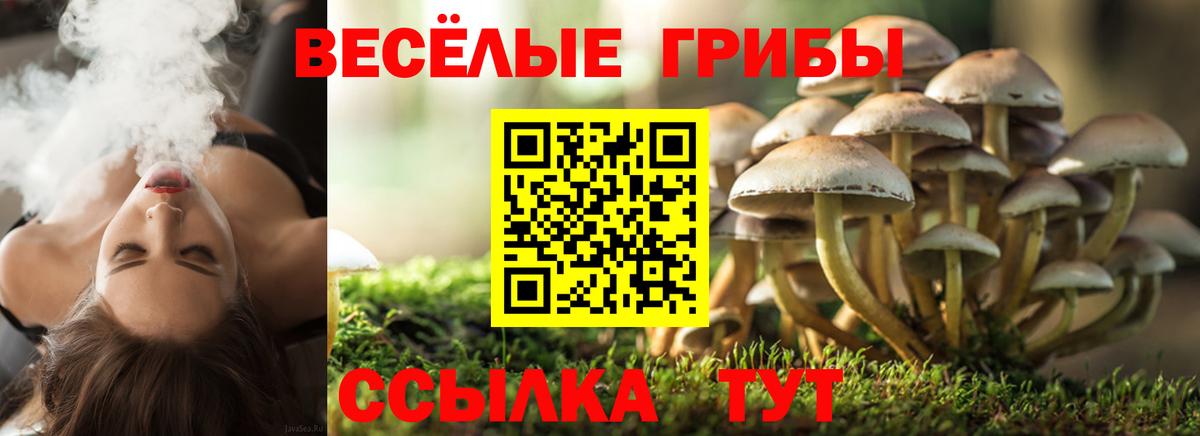 Псилоцибиновые грибы MAGIC MUSHROOMS Орехово-Зуево